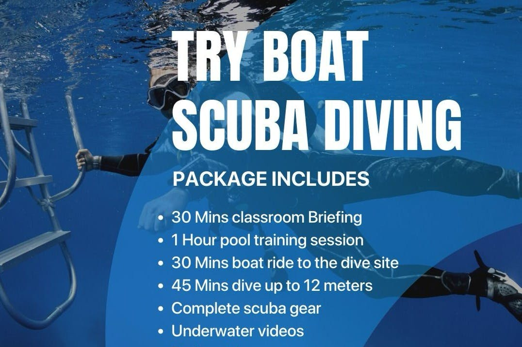 Dubai: Scuba Diving Boat Tour - Photo 1 of 6